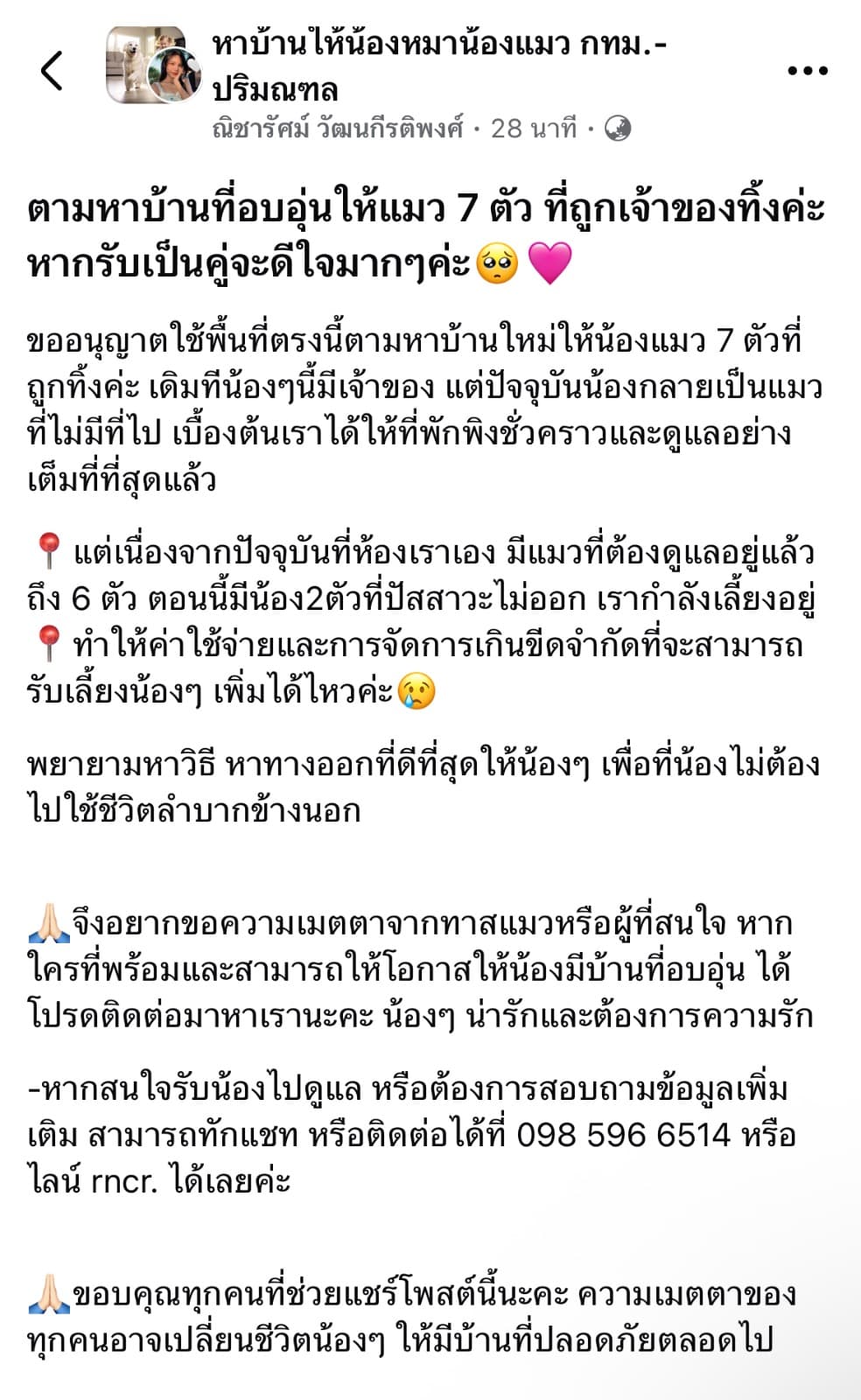 เทา รูปที่ 3