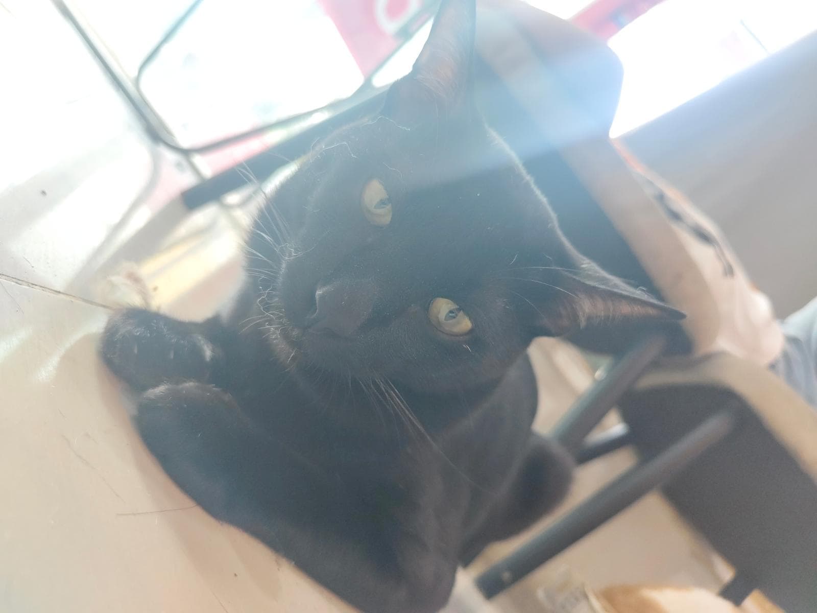 ฟอร์ด รูปที่ 2