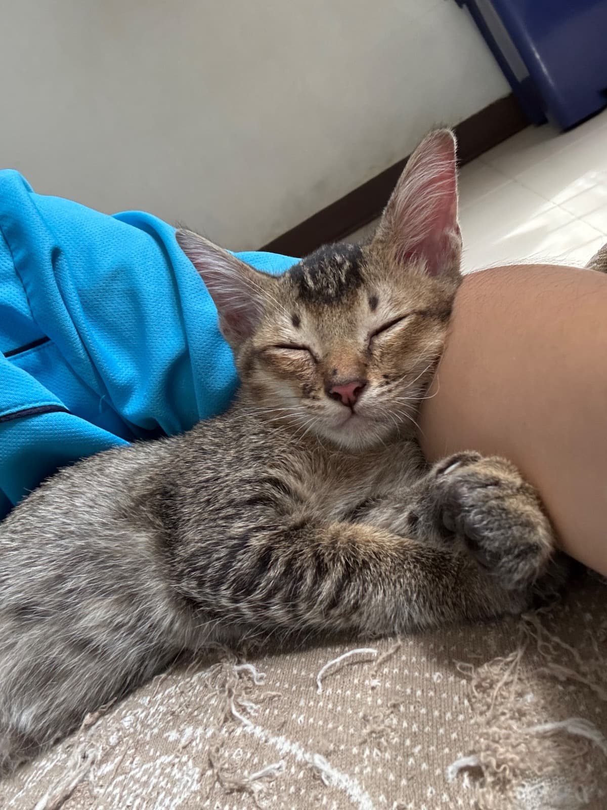 ยังไม่มีชื่อ รูปที่ 3