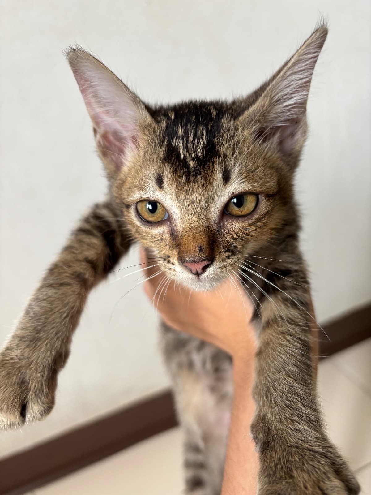 ยังไม่ได้ตั้งชื่อ รูปที่ 2