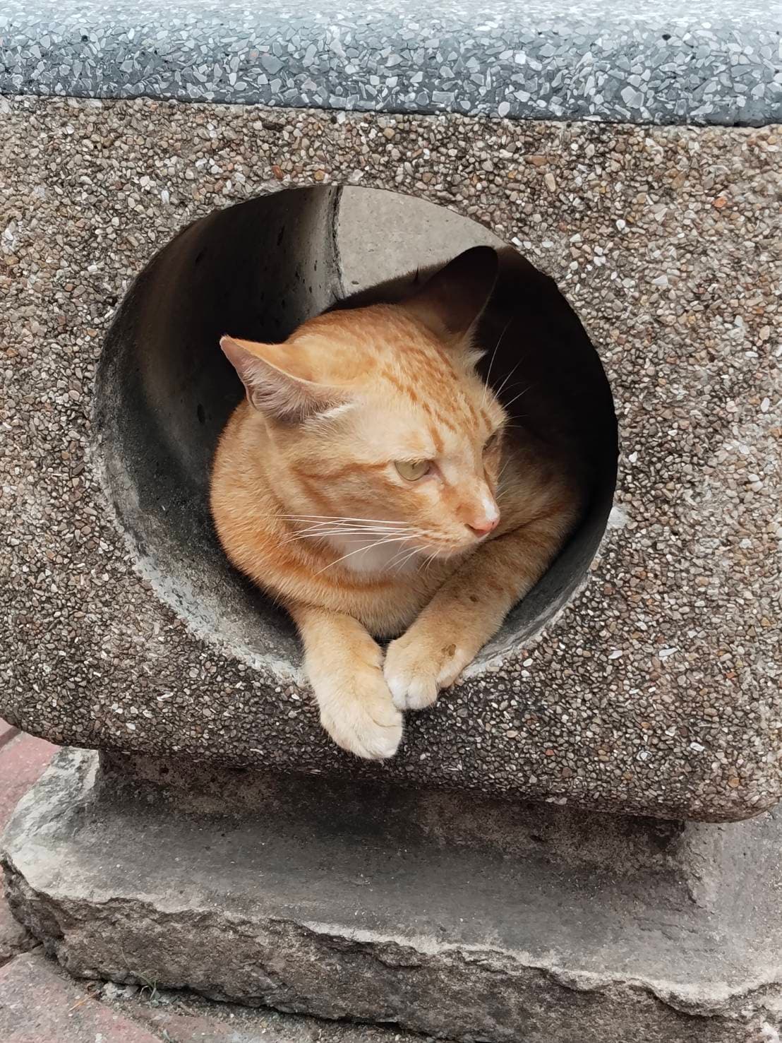 โชคดี รูปที่ 3