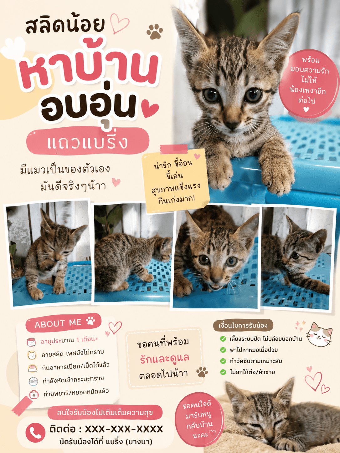 สลิดน้อย-สัตว์เลี้ยงหาบ้าน-สมุทรปราการ-Petskub
