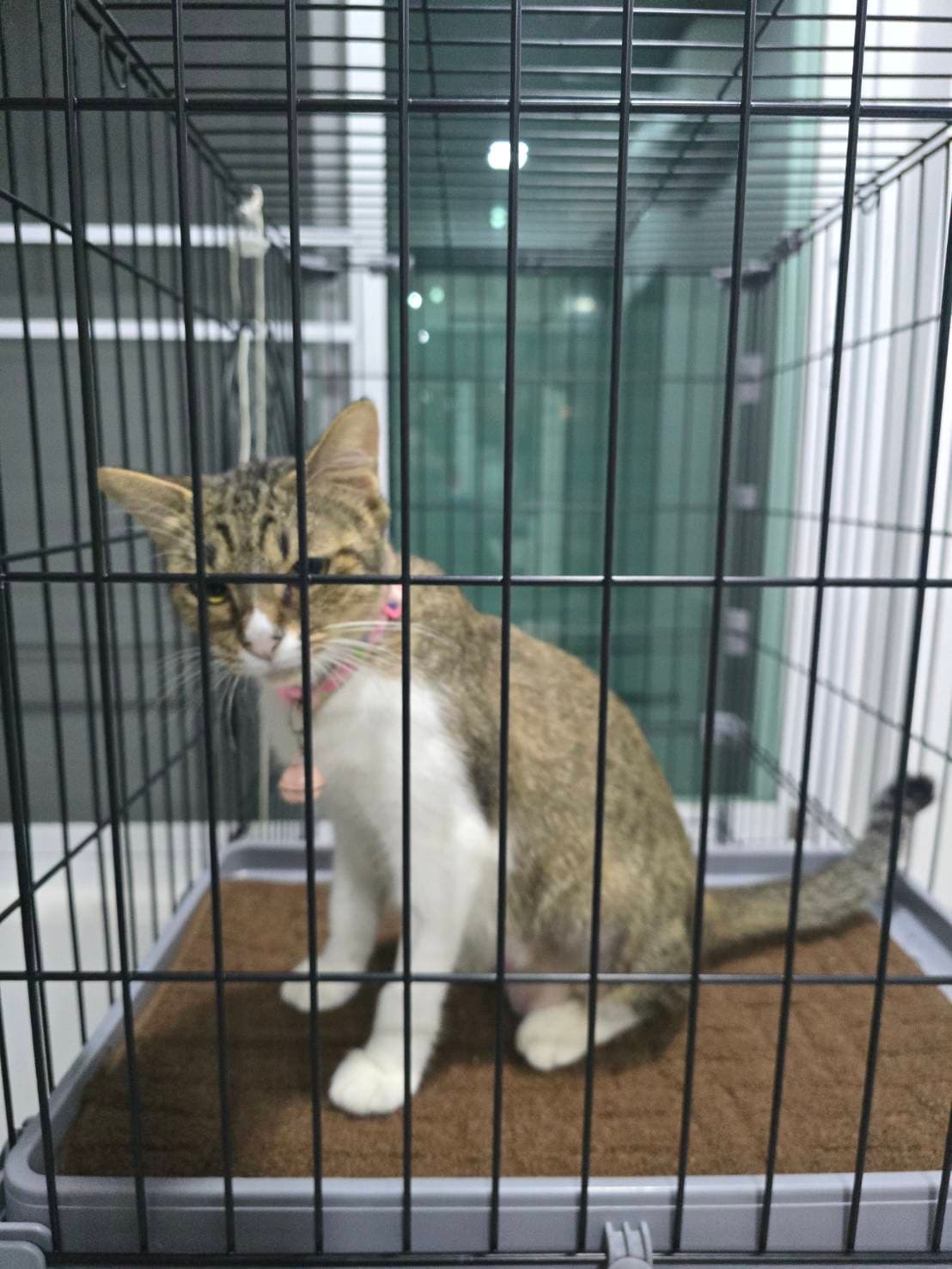 ยับไมาได้ตั้งครับ รูปที่ 3